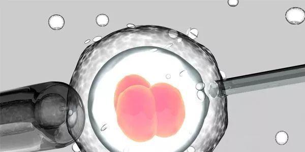沈阳8家试管婴儿医院排名榜揭晓，盛京成功率高达50%以上！