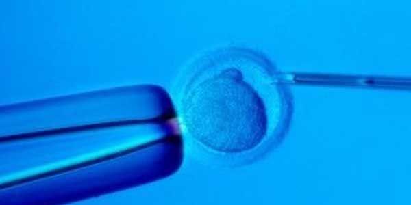 北京这家试管婴儿医院优势在哪里？成功率最高！