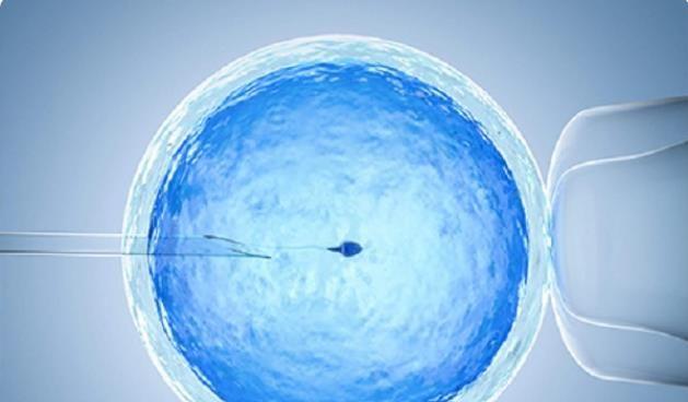 失独做试管选医院准则，除了这5点要求外另附小技巧！