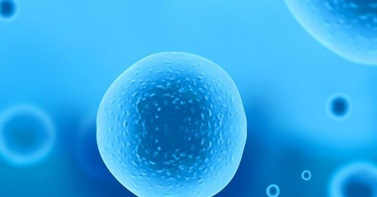 北京试管婴儿成功率最高的医院排名：前十医院榜单大揭秘！