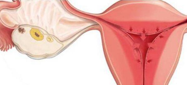 试管婴儿促排会导致卵巢功能下降吗？