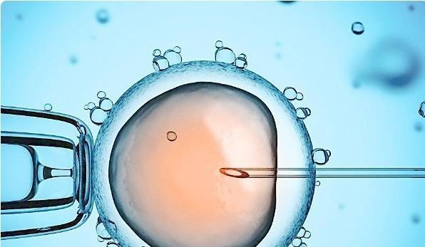 第三代试管婴儿生男宝到中国香港还是泰国好？哪个性价比高？