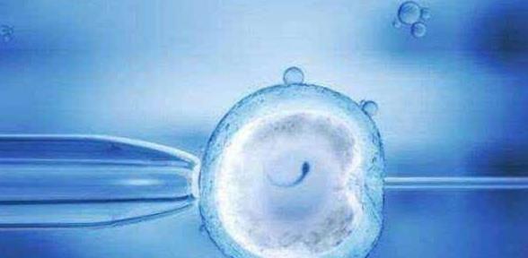 供试管婴儿费用大概多少钱一次，2024附六家助孕医院参考！