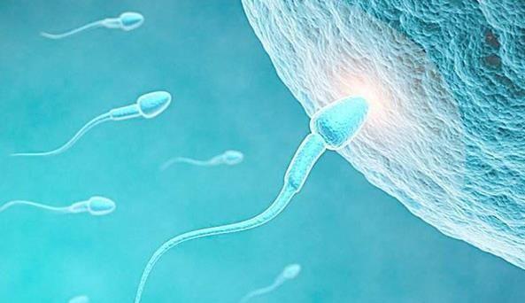 上海曙光医院试管专家名单公布，2024助孕率高的主任推荐！