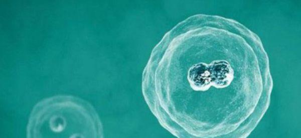 湘潭拉拉做试管婴儿多少钱？附费用明细表