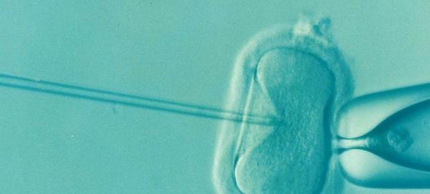 北京代怀助孕机构排名哪家最好，附详细机构介绍？