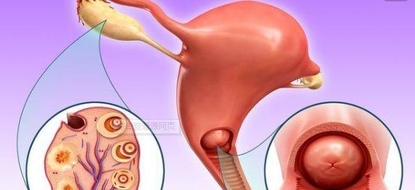 卵巢早衰试管移植成功后怎么保胎？这三大点一定要注意