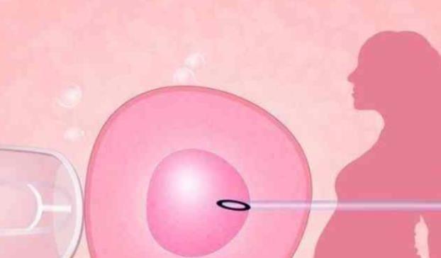 拉拉Les生孩子试管机构怎么选择，附试管机构选择方法！