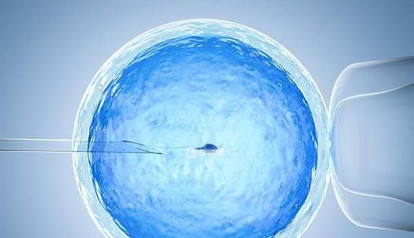 2024年试管婴儿哪家医院技术好？全国十大好评医院大盘点！