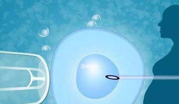 人工受精可以直接要男孩吗？附详细流程！