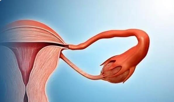 幼稚子宫可以做试管婴儿吗？专家解读幼稚子宫如何怀孕！