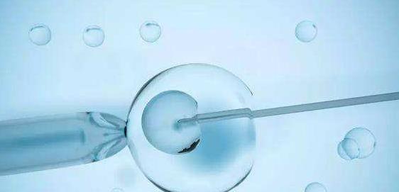 怀孕代怀生子需要多少费用一览，附国内知名助孕机构排名?