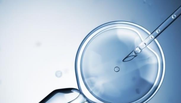 网传包生男孩就找第三代试管的说法可信吗？