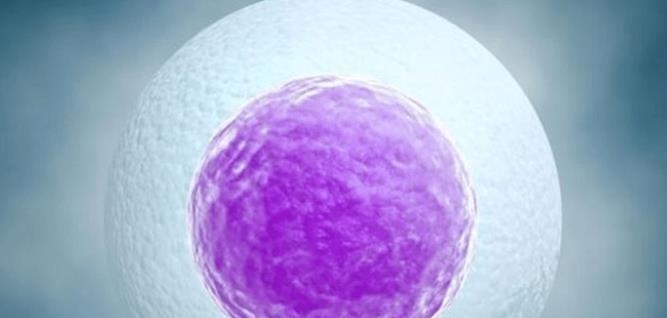 2023试管收费价目表一览，附国内正规试管医院排名！