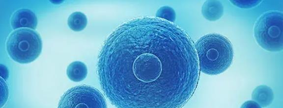 重度无精症通过穿刺取精做第三代试管婴儿选男孩助孕是否有用呢？