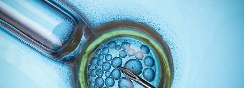 人工受孕率成功高还是试管成功率高？