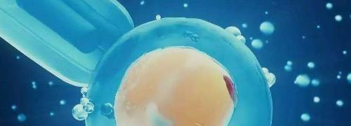 昆明爱维艾夫医院做试管要多少钱？