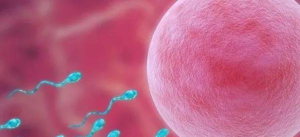 北京市私立医院试管婴儿费用是多少？附详细费用清单