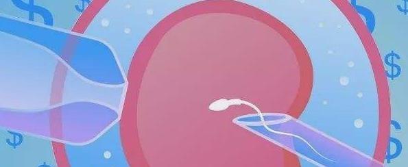 做试管婴儿可以自主选择性别吗？