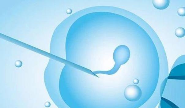 试管选性别费用多少，国内外选性别费用一览！