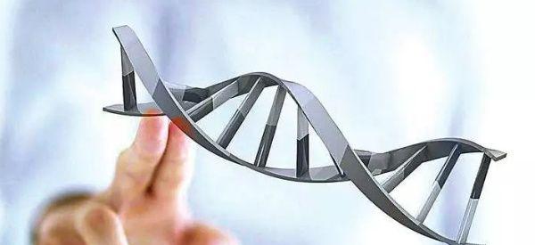 试管碎片率高是男的问题还是女的问题？附应对方法