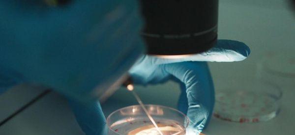 私立医院做试管靠谱嘛？做个试管男婴儿要多少钱？