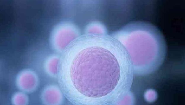 全国试管婴儿排名前十名的医院名单公布，这几家成功率最高！