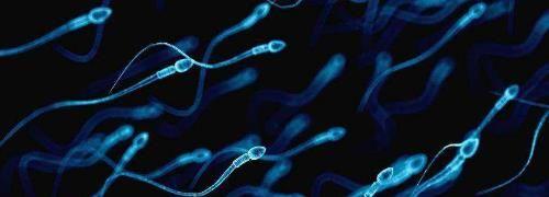 男的精子活率多少可以做试管婴儿？反正不能低于这个数