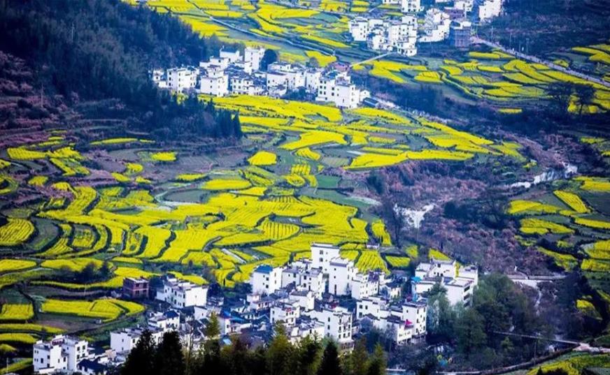 江西省有没有卵子库？内附供卵试管条件一览表