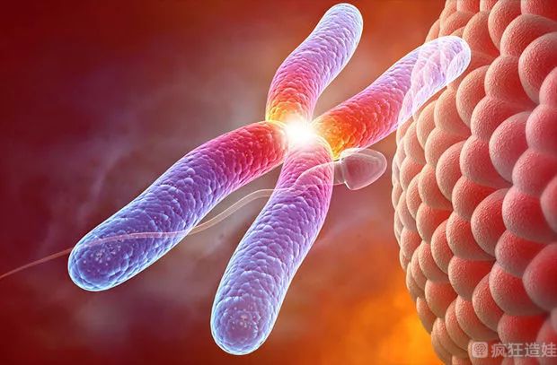 广州第三代试管婴儿排名？这些医院不会让你失望！