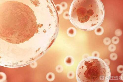 贵州省第三代试管婴儿排名最好的医院是哪家？