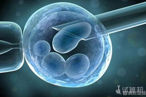 分享美国第三代试管婴儿经历，小公主来之不易！