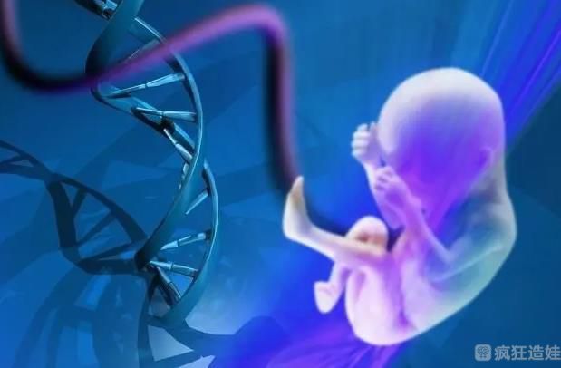 自贡供卵第三代试管医院排名？试管婴儿哪个胚胎移植成功率最高？