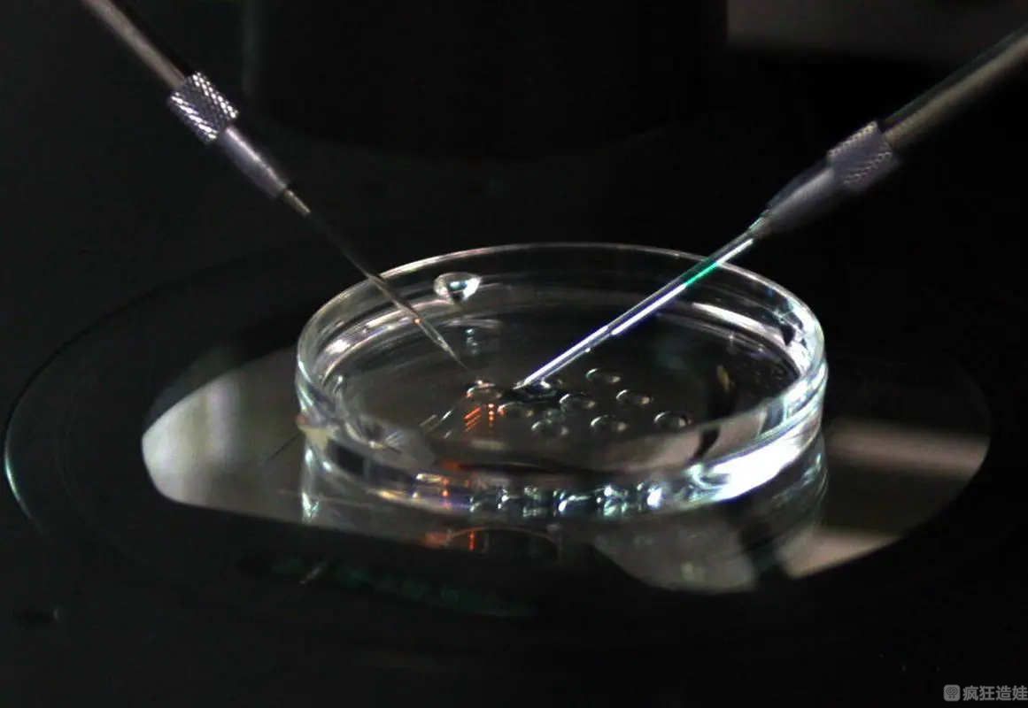 第三代试管婴儿移植胚胎怕热吗？移植后胚胎会被热坏吗？