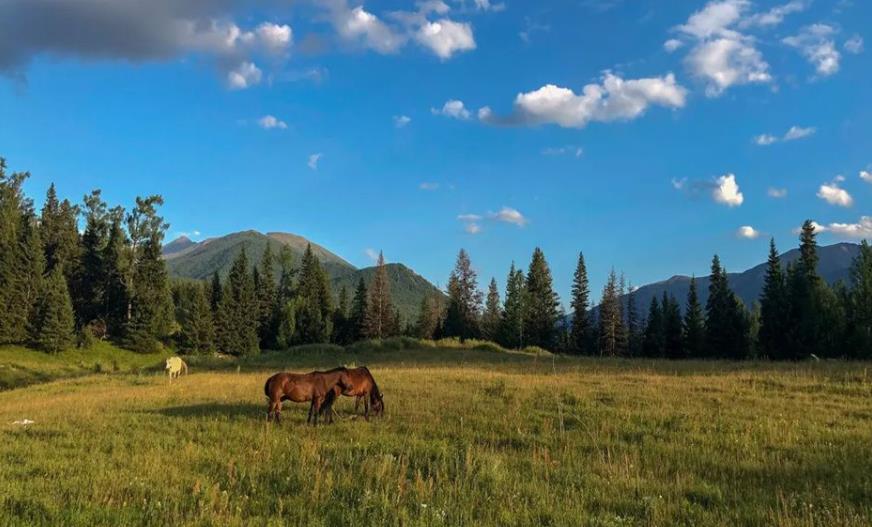 新疆有卵子库么？附2023国内供卵试管婴儿助孕现状分析