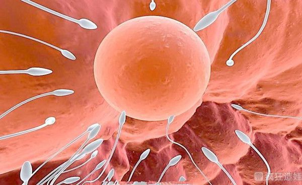 先天性卵巢早衰做供卵第三代试管婴儿选择公立医院便宜吗？