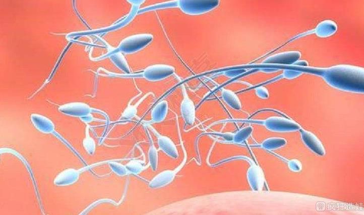 男性患有的重度弱精症，可以选择二代试管婴儿助孕吗？