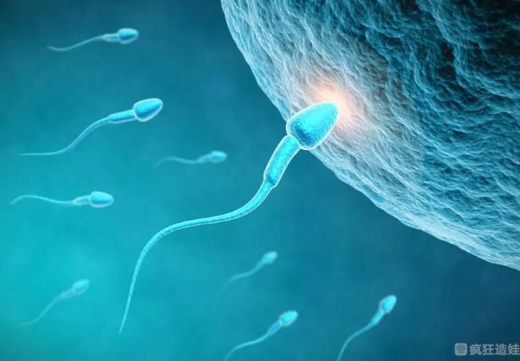 买精人工受孕价格怎么样？如果买精子做第三代试管婴儿会不会很贵？