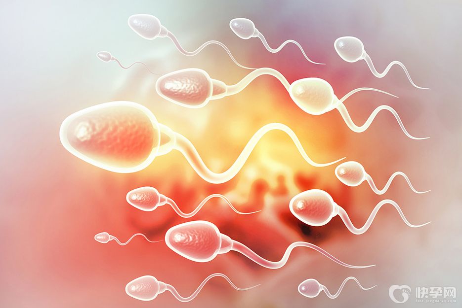 男性无精症可以做供精试管婴儿吗？可以但不是必须