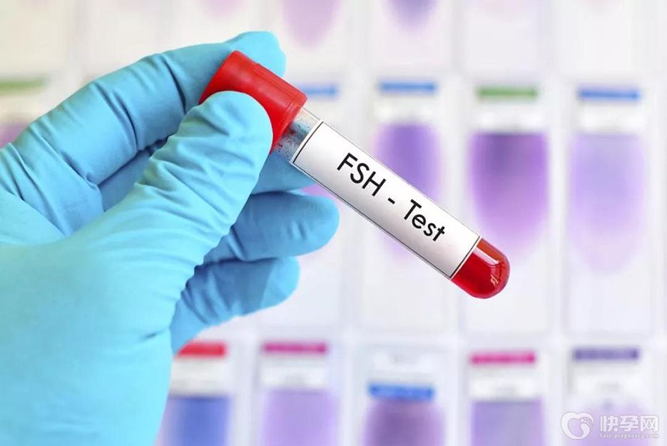 fsh值31可以做试管吗，降低sh值后才能更好的进行试管