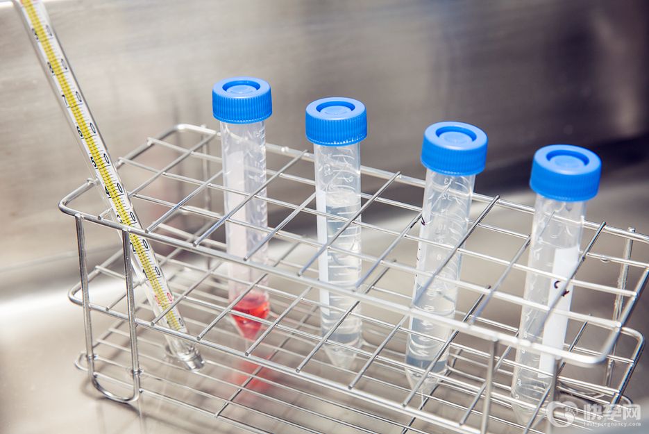 amh值低能做试管婴儿吗？专家教你试管婴儿怎样提升amh值