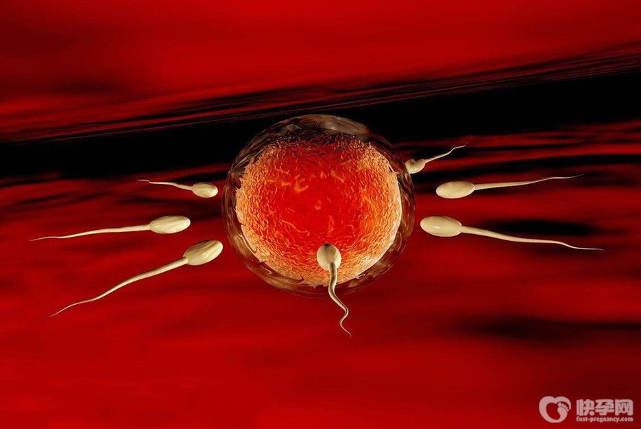 什么人适合做供精试管婴儿，以下五类人适合