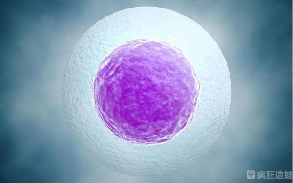 北京海军总医院生殖中心做二代试管婴儿需要多少钱？