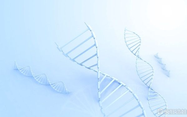 乌克兰第二代试管婴儿技术怎么样？