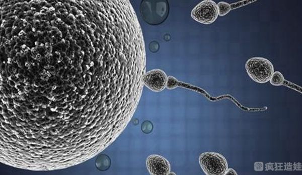 怀孕的最佳时间是几月，想要进行第三代试管婴儿受孕的家庭算准时间啦