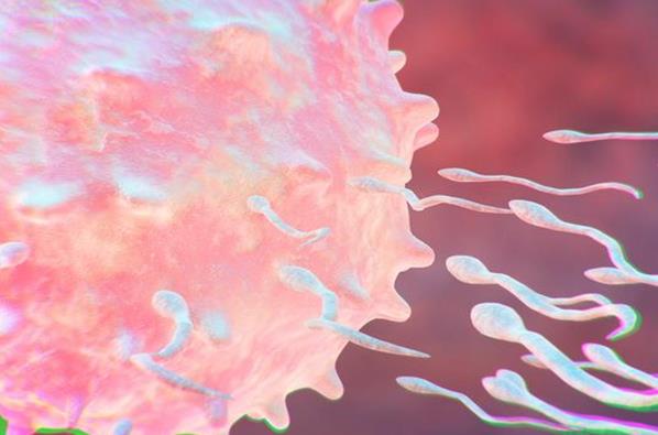 甘肃省哪家医院有卵子库？内附供卵试管生男孩医院排行榜