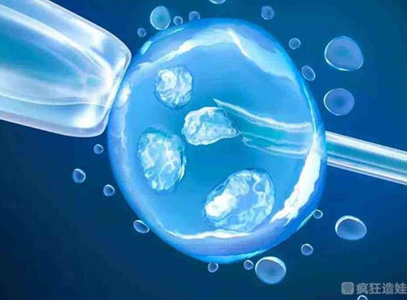 上班族做第三代试管婴儿移植医院能出具诊断证明请假吗？