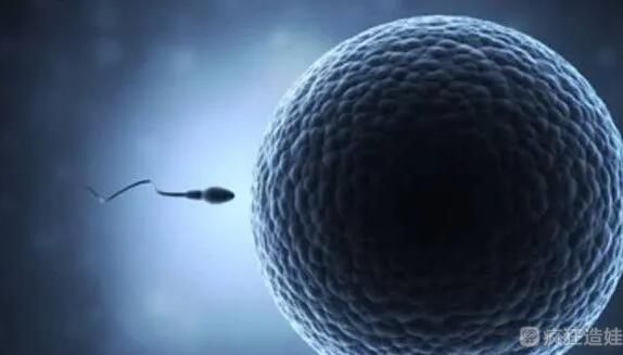 重庆第三代试管婴儿包生男孩试管婴儿医院排名？附相关医院信息？