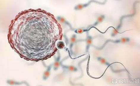 国内私立医院可以做第二代试管婴儿选男女吗？附详细情况？