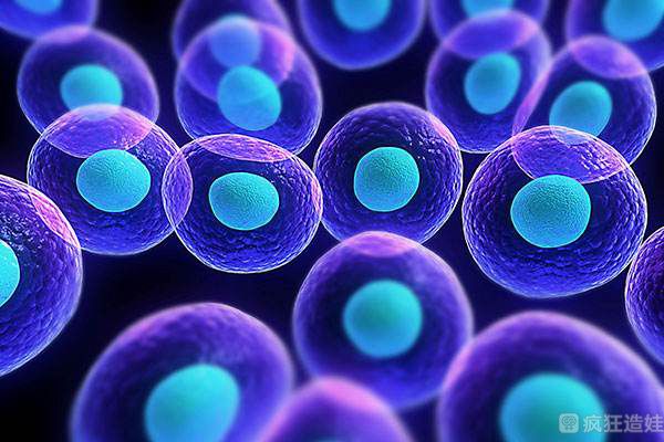 第三代试管婴儿“夜针”or“扳机”是个啥？不懂看这里！